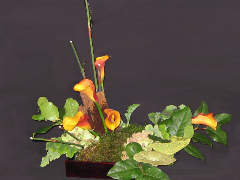 Exotic Floral Arrangements - Pipper's Flowers