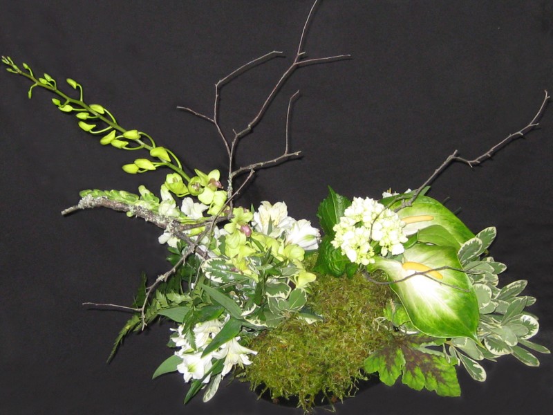 Exotic Floral Arrangements - Pipper's Flowers