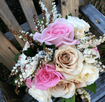 pink and ivory roses